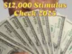 $12,000 Stimulus Check 2025